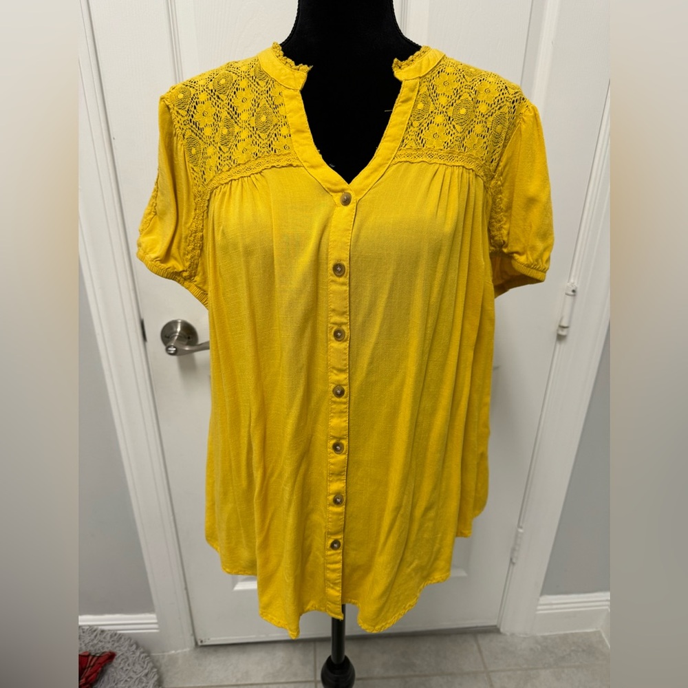 Torrid Top